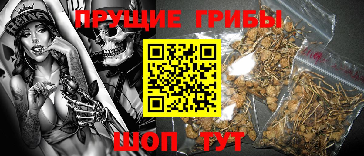 Галлюциногенные грибы Magic Shrooms Люберцы