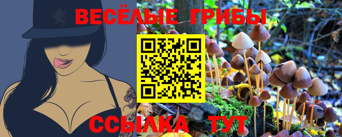 Люберцы  Галлюциногенные грибы Psilocybe  Псилоцибиновые грибы ЛСД  Вход с VPN 